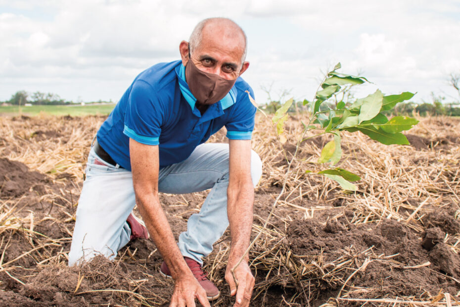 Plantio de mudas do Programa de Reflorestamento de Pernambuco em Carpina